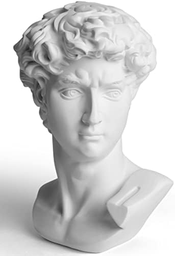 Garwor 6” Classic Greek David Head Resin Sculptures and Statues, Home Décor Office Décor, Michelangelo David Bust Figurine