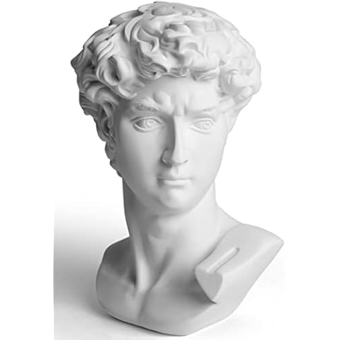 Garwor 6” Classic Greek David Head Resin Sculptures and Statues, Home Décor Office Décor, Michelangelo David Bust Figurine Cover