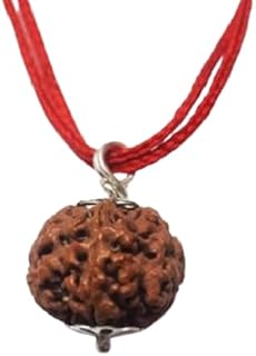 srt rudra 5 Mukhi Rudraksha Original Certified 5 Mukhi Indonesia Rudraksha Small Size with Capping 5 Mukhi Rudraksha Pendant Blessed by Lord Shiva Five Mukhi Rudraksha 5 Mukhi Rudraksha Indonesia-picture-15