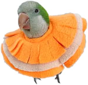 Barn Eleven Bird Collar Anti Bite Elizabethan Recovery Cone, Bird Neck ...