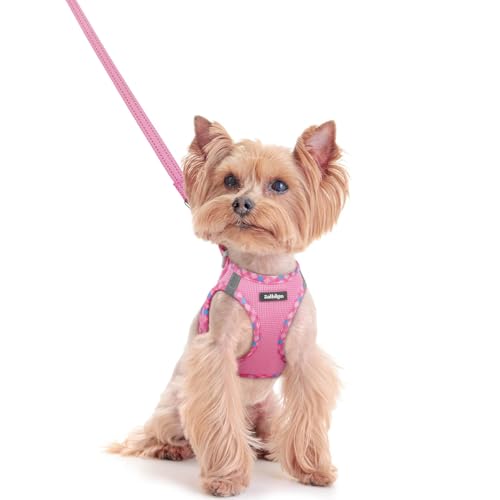 Image of rabbitgoo Dog Harness Small Sized and Leash Set, Step-in Puppy Pet Vest