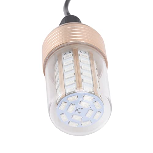 Lampe de bateau submersible LED pour réussir vos sorties de nuit - 5