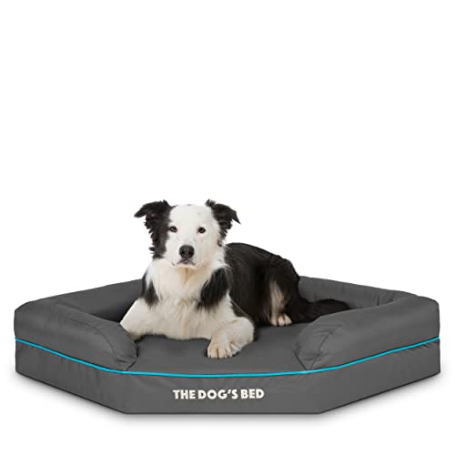 The Dog's Bed Orthopädisches Hundebett mit Memory-Schaum, Wasserdicht, Groß, Grau und Blau, lindert Arthritis und Hüftdysplasie, Therapeutisch und Unterstützend, Waschbar, Tierärztlich Geprüft