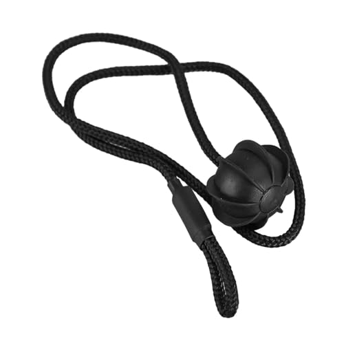 Cordon hayon Civic sangle remplacement plage arrière avec clips corde levage
