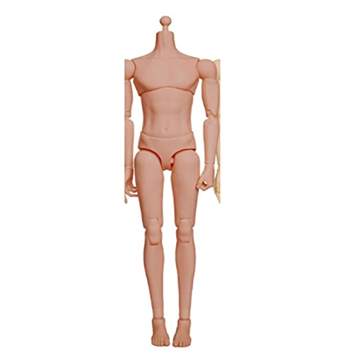 Corps de soldat masculin 1/6 articulation flexible figurine 12 pouces couleur standard