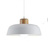 Tamaño de la pantalla: D 30 x H 14 cm, cable duro blanco de 120 cm de longitud, rosetón de 10 cm.