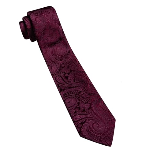 Image of Barry.Wang Paisley Tie for Men Silk Woven Necktie and Tie Clip Set Wedding Party Business Formal