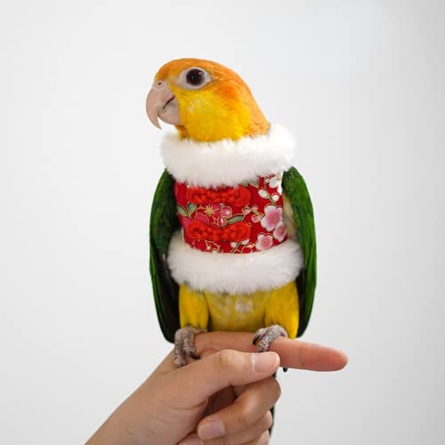 Image of Bird Costume Bird Flight Suit Bird Clothes Cosplay Photo Prop for Parrots Parakeet Cockatiel Sun Conure, Bird Hoodie Small Animals Apparel (Black, Large)