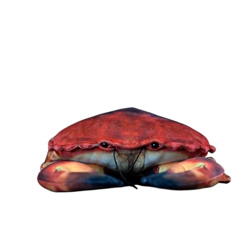 Crabe en peluche réaliste de 23 cm coussin doudou de la vie marine