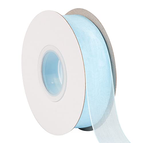 TEKDEERE 25mm Sheer Organza Ribbon,Blue Mist Shimmer Chiffon Ribbon for DIY Crafts Wedding Party Decorations Gift Wrapping Bridal Bouquets (45M)