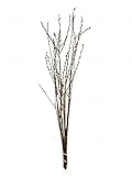 50x 3-4Ft Stems of Dry Natural Pussy Willow Branches for Arrangements