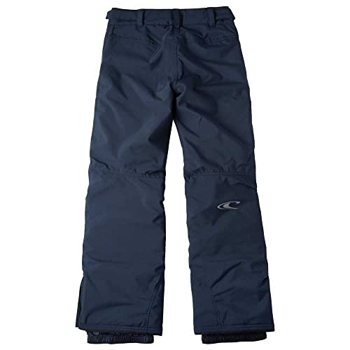 Anvil Pants Skihose Snowboardhose