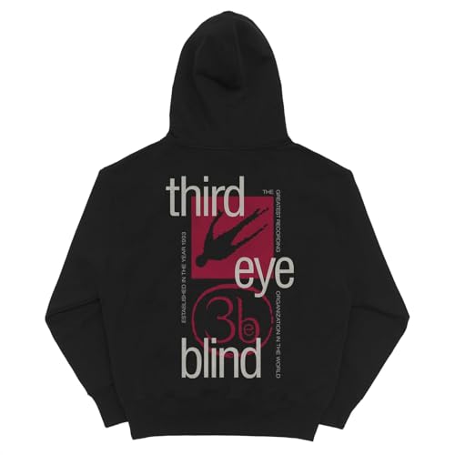 Third Eye Blind Unisex-Adult Shadow Stacked Hoodie2