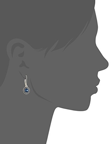 Napier Women's Color Declaration, Silver Tone Blue Crystal Glass Leverback Drop Earrings #TOP1