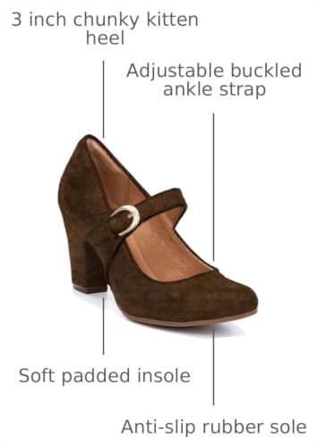 Image of SHODENSE Women Vintage Chunky High Heel Mary Jane Shoes Round Closed Toe Ankle Strap Dress Sandals 3 inch Block Heels Mary Jane Lolita Pumps Two-Toned Patchwork Buckle Office Lady Wedding Retro 4-11 M US