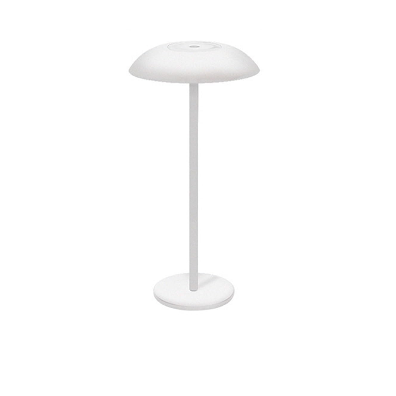 zhangrui1888 Bedside Lamp Desk Lamp Bedroom Bedside Dining Room Bar Atmosphere Decorative Night Light Bedroom Lamps(Bruin)