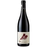 Vendu par 1x75cl Saumur-Champigny Clos de L\'Echelier - Rouge 2020 - Domaine des Roches Neuves - Vin Rouge du Val de Loire (75cl) Biodynamie