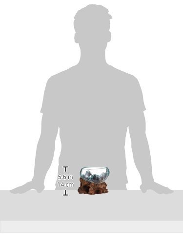 Cohasset Shmini Molten Glass with Large Opening - Image 5