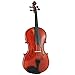 D'Luca PDZ02-14 14-Inch Orchestral Series Viola Outfit