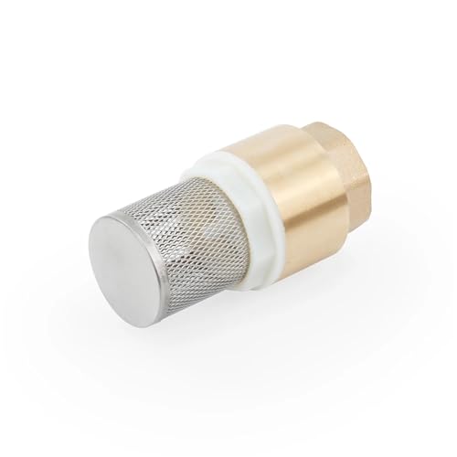 Válvula de retención de latón macizo de 2 pulgadas para plomería de agua 6