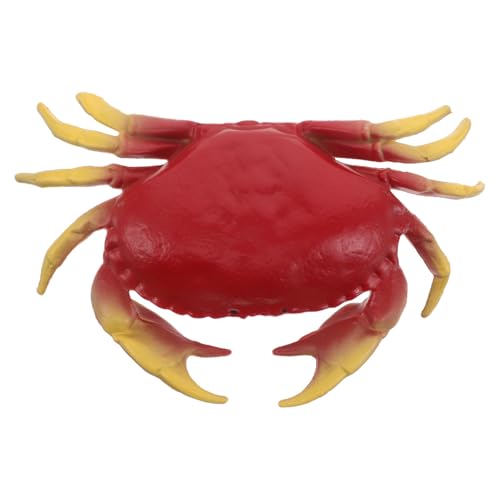 Crabes en plastique réaliste pour projet scolaire sans animaux vivants