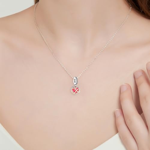 10 Pack Silver Bead Charms Compatible with Charms Bracelet Necklace, 925 Sterling Silver Charms for Bracelets for Women, the Beads with Cubic Zirconias Are the Perfect Jewelry Gift for Women, Ideal for Christmas, Birthdays, Mother's Day, and Valentine's Day.4