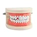 Enamel Shape Hip Hop Mouth Red Heart Teeth Grillz–18K Gold Plated & Silver, Fashion Accessory for Parties, Streetwear Cosplay(Silver)