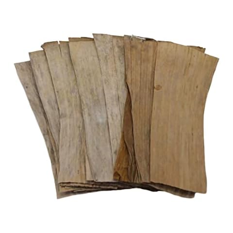 Forest Aquatics Shrimp Banana Leaves, 7-8 Inches, Provides Shelter and Natural Aquarium Fish Food, Releases Healing Tannins and Lowers Ph in Tank, Perfect for Breeding and Hiding (1) Cover