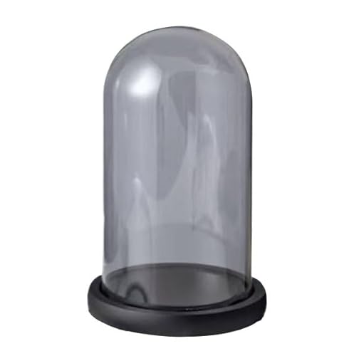 HAEUYA Cloche en Verre, vitrine de Table, 1 Cloche Ronde en Verre, Cloche décorative de Table avec Base Noire for Plantes, Figurines de Collection, Bougies, médailles(15 * 35cm)