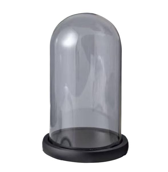 Cloche en verre de présentation haut de gamme avec socle bois