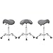 Antlu Saddle Stool Rolling Chair for Office Massage Salon Kitchen Spa Drafting,Adjustable Hydraulic with Wheels (Grey)