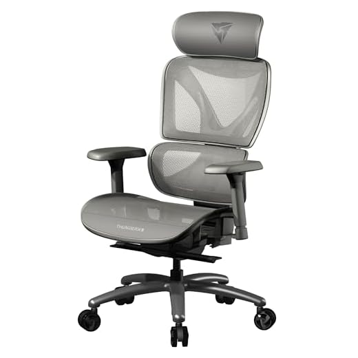 Cadeira Ergonômica XTC Mesh Cinza ThunderX3