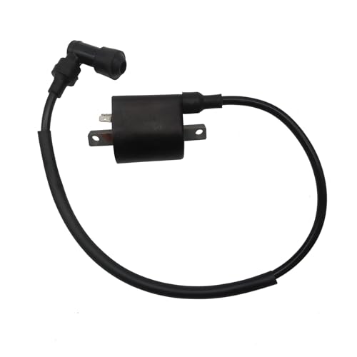 Cuerpo de ignición y cable para ATV Quad UTV 260 300 400 500 520 550 22012 EFI
