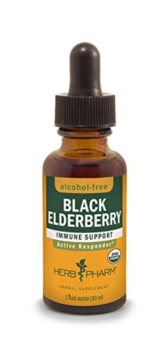 Herb Pharm Certified Organic Black Elderberry Liquid Extract for Immune System Support, Alcohol-Free Glycerite, 1 Ounce #1