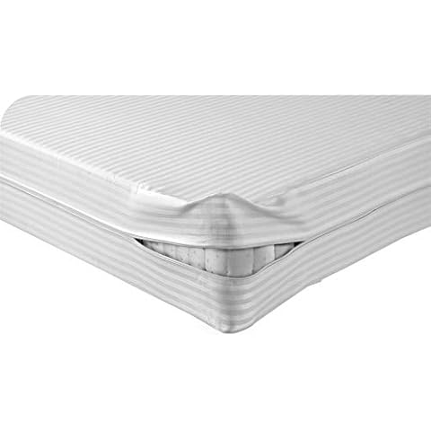 Luxury Hotel Quality White Strip Zipper Anti allergy Bed bug Mattress Cover Total Encasement Protector Double Bed Mattress covers Cover