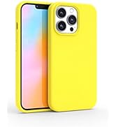 Amazon.com: FELONY CASE - Apple iPhone 15 Pro Max Case - Neon