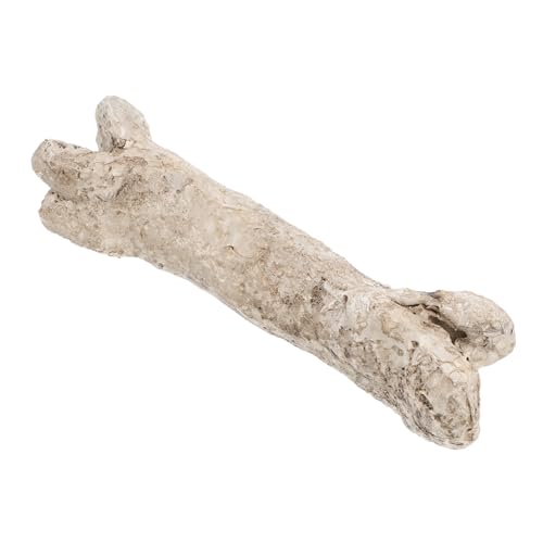 GALPADA Reptile Tank Hideout Cave Durable Resin Hiding Place for Pets Natural Bone Design for Terrarium for Crawling Pets Enhances Habitat Atmosphere