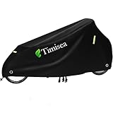 Timisea