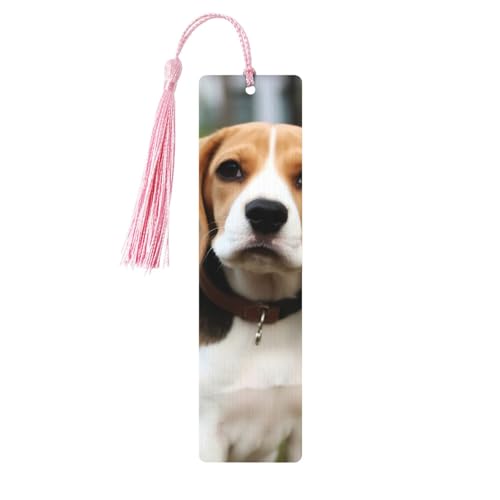 u[hbO r[O ؐ DIY ؐNtg  Jtȃ^bZt ؐMtg^O x {Dւ̒Mtg j 