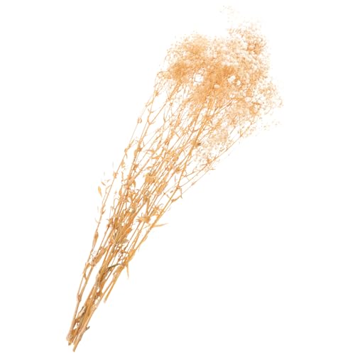 Ramo de flores preservadas Beige 120g natural seco miniatura 1