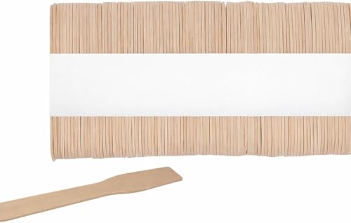 DeinPack 1000 Eislöffel Birke 9,6 cm | biologisch abbaubar | Nachhaltiges Besteck | Einwegbesteck | Holzbesteck