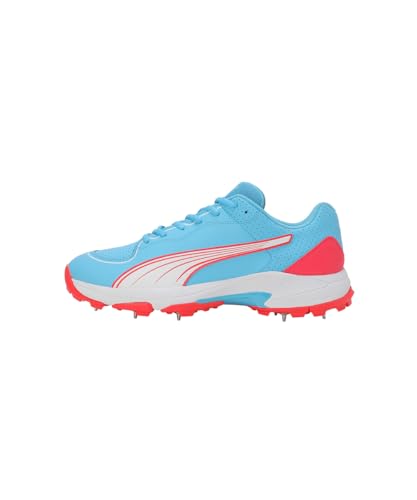 Image of Puma Mens Spike 24.2 Cricket Shoe
