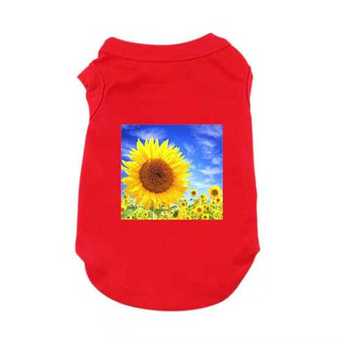 [XANPYO] ^ ybg ybg ̕ L̕   U o  LOBe M ^ tďH TVc  hbOEFA t X|[c ^Ngbv _炩 Eѕی U