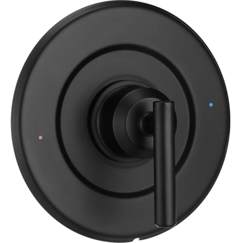 Poignée de levier de douche facile à installer en remplacement T2901BL - 2