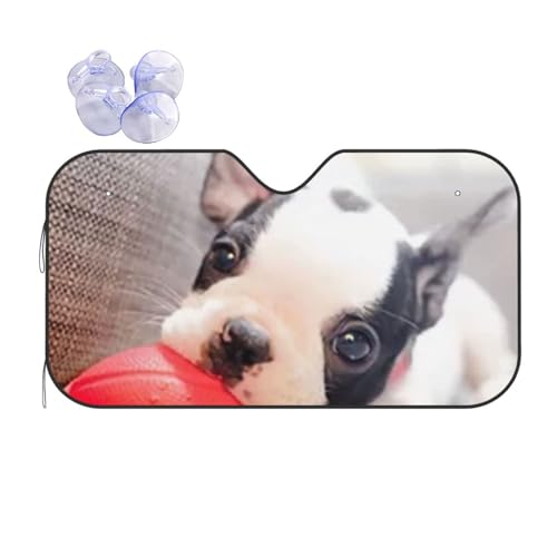 ԗpTVF[h ԑ悯 Ăh~    Aj}  J[TVF[h tgKXp Ăh~ fM Ռ  UvJbg zՕt ԗpi S