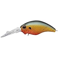 Amazon.co.jp: エバーグリーン(EVERGREEN) クランクベイト