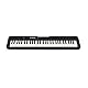Casio Casiotone CT-S300 Keyboard mit 61 anschlagdynamischen Tasten, 400 Sounds & 77 Begleitrhythmen, schwarz
