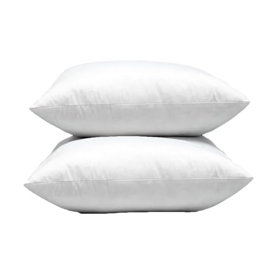 Warmwithann Set of 2, Cotton Fabric Square Pillow Inserts, Down and Feather Decorative Throw Pillows Inserts. 18"x18" Inches Pillow Insert