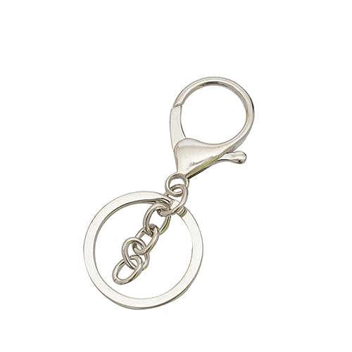 YOSADIER 10 Piezas Pinza de Langosta Aleación para Organización de Llaves y Manualidades Resistente y Ligero Color Plateado