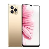 Smartphone Pas Cher, LANDVO IP12 Pro+ 6,26 Pouces Smartphone, processeur quadricœur SC7731E, téléphone Android Double Veille, 1G + 8G, téléphone Portable sans Carte SIM avec Batterie Li-ION 1950 mAh